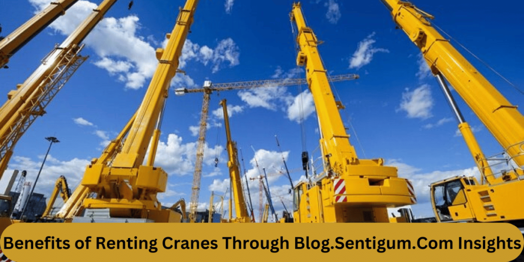 This emage showing a Benefits of Renting Cranes Through Blog.Sentigum.Com Insights