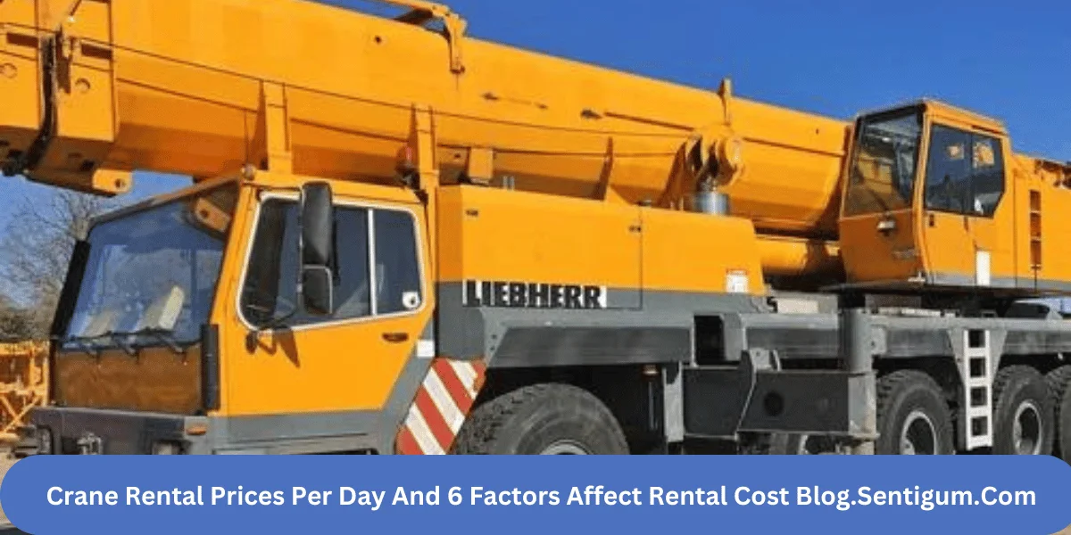 This emage showing a Crane Rental Prices Per Day And 6 Factors Affect Rental Cost Blog.Sentigum.Com